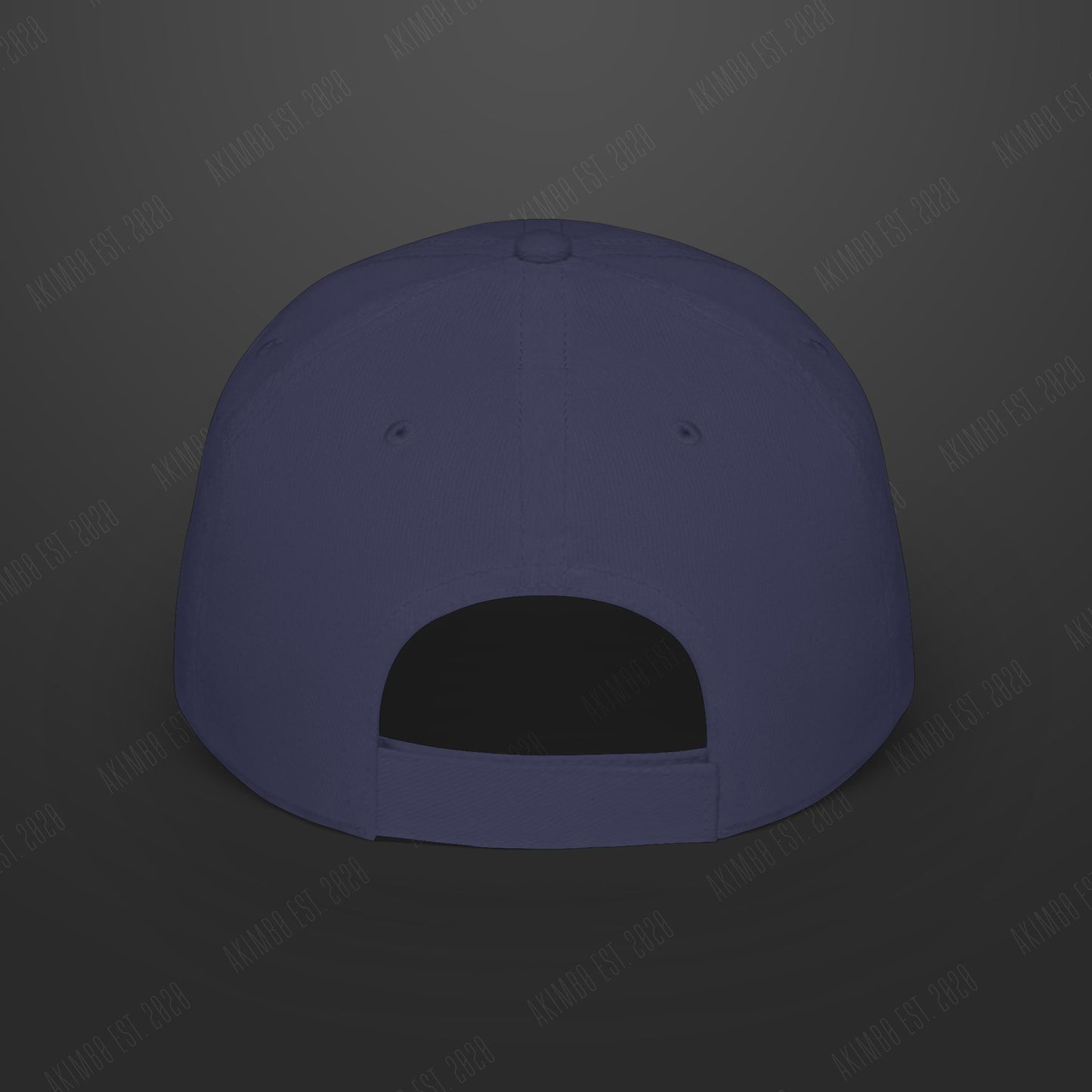 AKIMB0 "WINGSPAN" Cap
