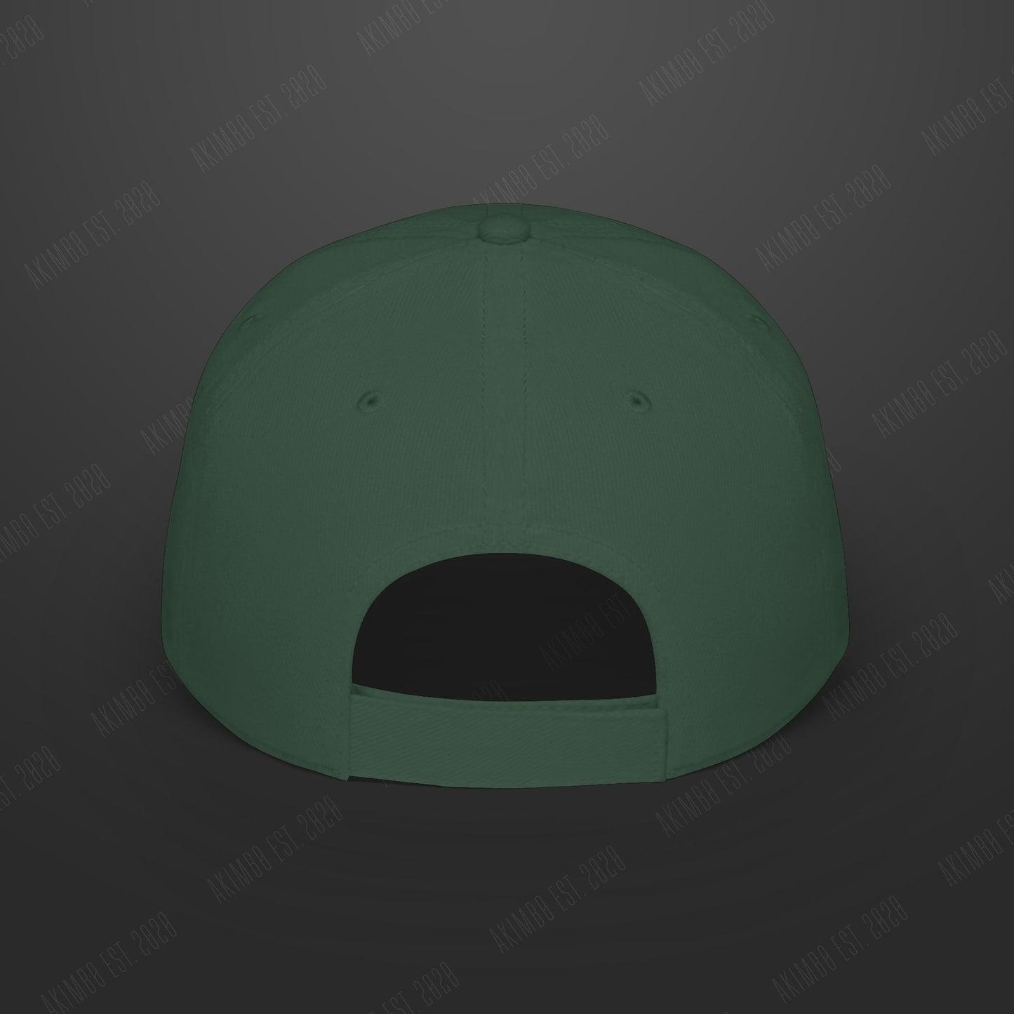 AKIMB0 "WINGSPAN" Cap